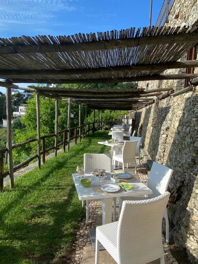 Paradiso Di Manu Нолі Екстер'єр фото